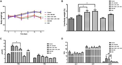 Investigating the CYP2E1 Potential Role in the Mechanisms Behind INH/LPS-Induced Hepatotoxicity